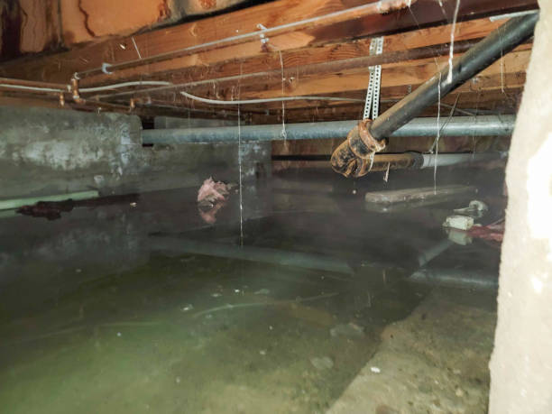 Water damage restoration insurance claims in Rising Sun Lebanon, DE