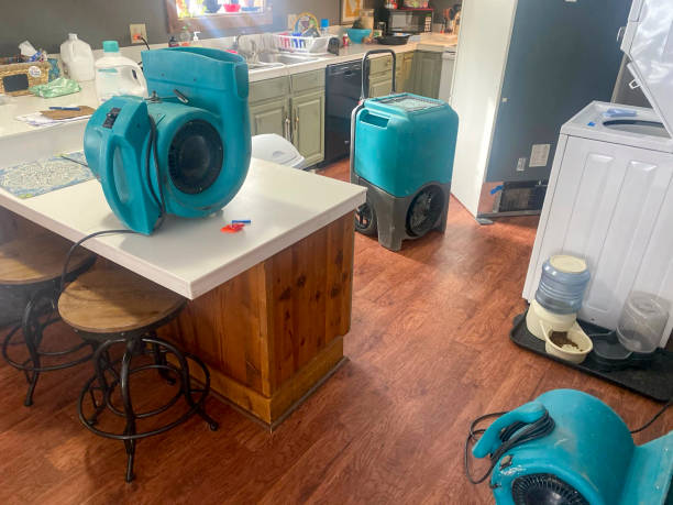 Best Sewage cleanup and water damage restoration  in Rising Sun Lebanon, DE