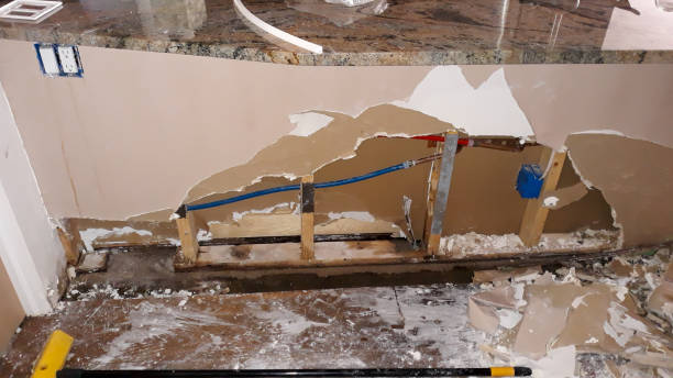 Best Flood restoration services  in Rising Sun Lebanon, DE
