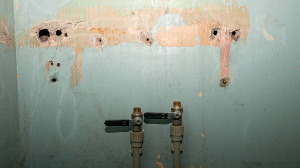 Best Ceiling water damage repair  in Rising Sun Lebanon, DE