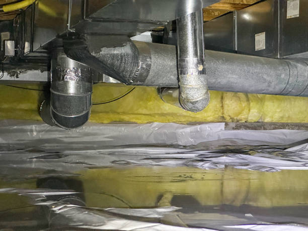Best Professional water damage repair  in Rising Sun Lebanon, DE